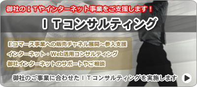 御社のＩＴやインターネット事業をご支援します！　ＩＴコンサルティング　Ｅコマース事業への販売チャネル展開～参入支援 インターネット・Web活用コンサルティング 御社インターネットのサポートやご相談　御社のご事業に合わせたＩＴコンサルティングを実施します