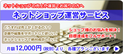 ネットショップの売上や運営でお困りの方へ　ネットショップ運営サービス　どうすれば売上が上がるの？？ 企画や編集をサポートして欲しい！ ネットショップで絶対したい！　ショップ様のお悩みを解決！目標達成をフルサポート！　月額12,000円より、各種プランございます