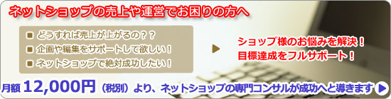 ネットショップの売上や運営でお困りの方へ　■どうすれば売上が上がるの？？　■企画や編集をサポートしてが欲しい！　■ネットショップで絶対成功したい！　月額12,000円より、ネットショップの専門コンサルが成功へと導きます